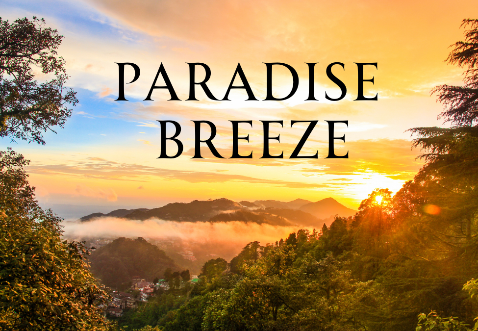 Paradise Breeze