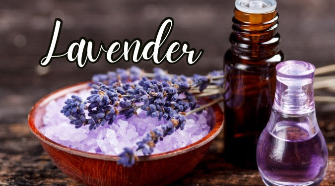 Lavendar Scent